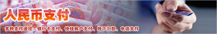 人民币支付